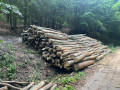 img-20260617-wa0010.jpg
