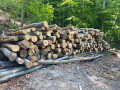 img-20260617-wa0011.jpg