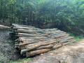 img-20260617-wa0009.jpg