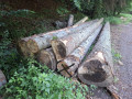 img-20260624-wa0050.jpg