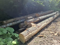 img-20260624-wa0051.jpg