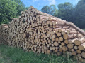 img-20260624-wa0065.jpg