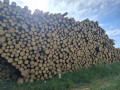img-20260624-wa0067.jpg