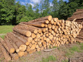 img-20260624-wa0064.jpg
