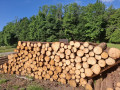 img-20260624-wa0069.jpg