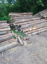 img-20260624-wa0019.jpg