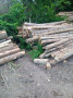 img-20260624-wa0021.jpg