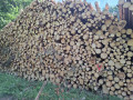 img-20260624-wa0060.jpg