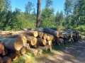 img-20260625-wa0016.jpg