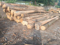 img-20260701-wa0006.jpg