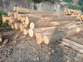 img-20260701-wa0005.jpg