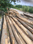 img-20260706-wa0002.jpg