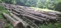 image000001-20.jpg