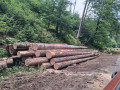 img-20260707-wa0017.jpg