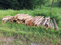 20260708_075929.jpg