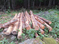 20260708_083108.jpg