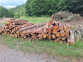 20260708_085207.jpg