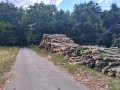 20260709_101637.jpg