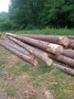 img-20260708-wa0001.jpg