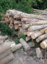 img-20260710-wa0015.jpg