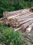 img-20260710-wa0014.jpg