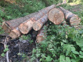 img-20260714-wa0012.jpg