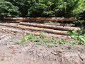 img-20260714-wa0027.jpg