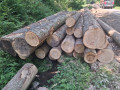 img-20260714-wa0007.jpg