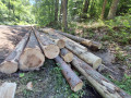 img-20260714-wa0008.jpg
