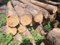 img-20260714-wa0031.jpg
