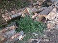 img-20260714-wa0015.jpg