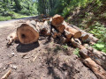 img-20260714-wa0018.jpg