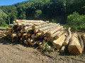 img-20260721-wa0020.jpg