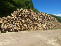img-20260721-wa0045.jpg