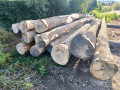 img-20260722-wa0002.jpg