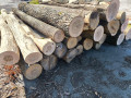 img-20260722-wa0000.jpg