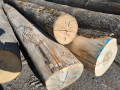 img-20260722-wa0005.jpg