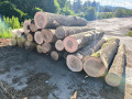 img-20260722-wa0004.jpg