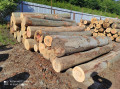 img-20240530-wa0003.jpg