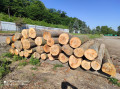 img-20240530-wa0004.jpg