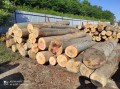 img-20240530-wa0005.jpg