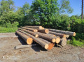 img-20240530-wa0017.jpg