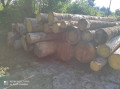 img-20240530-wa0015.jpg