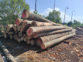 img-20240530-wa0021.jpg