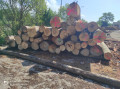 img-20240530-wa0018.jpg