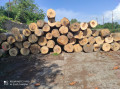img-20240530-wa0019.jpg