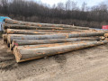 img-20250310-wa0019.jpg