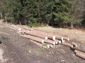 img-20250320-wa0005.jpg