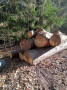 img-20250320-wa0019.jpg
