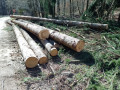 img-20250415-wa0001.jpg